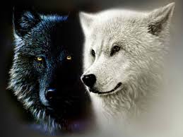 The Two Wolves